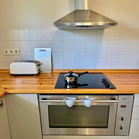 Apartamento Cal Querol 1 Venta Fortaits Y Alquiler Y Clases Esquí Con Transporte *